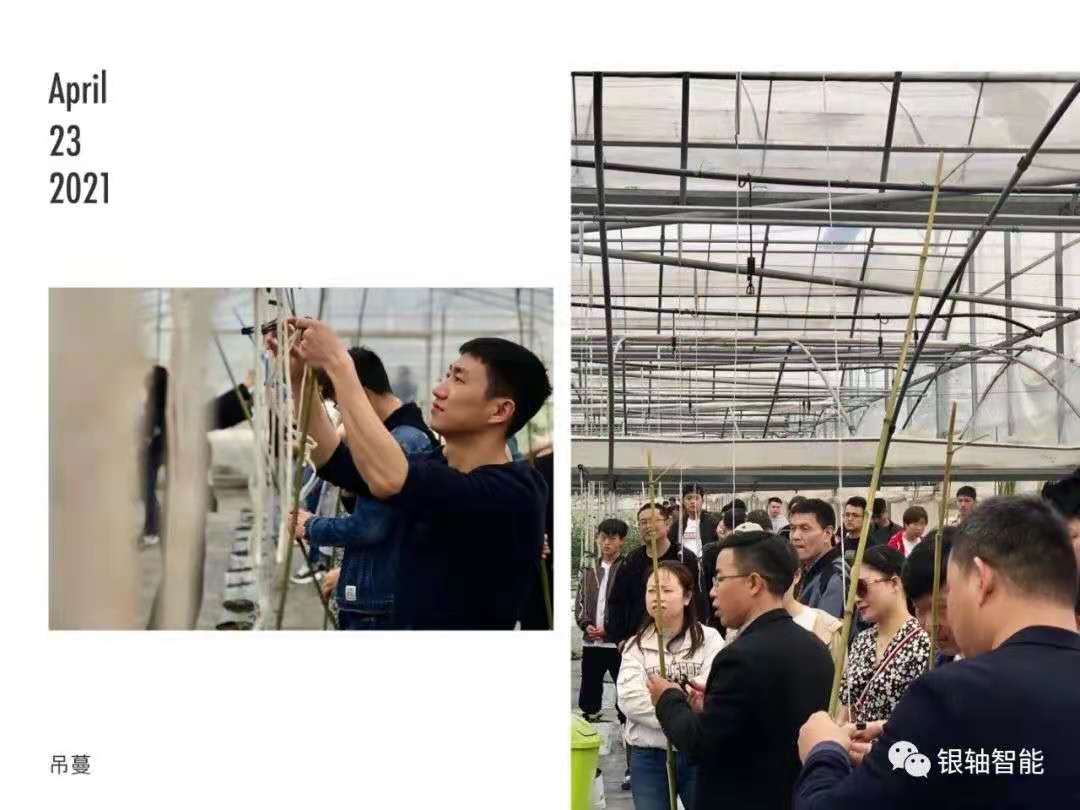 微信像片_20210601110450