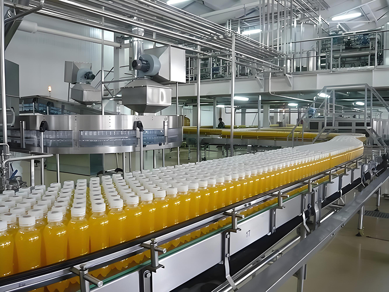 食べ物と飲み物